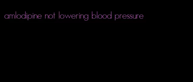 amlodipine not lowering blood pressure