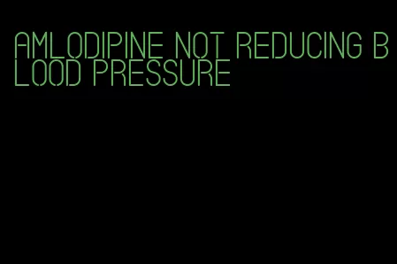 amlodipine not reducing blood pressure