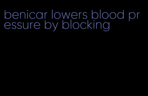 benicar lowers blood pressure by blocking