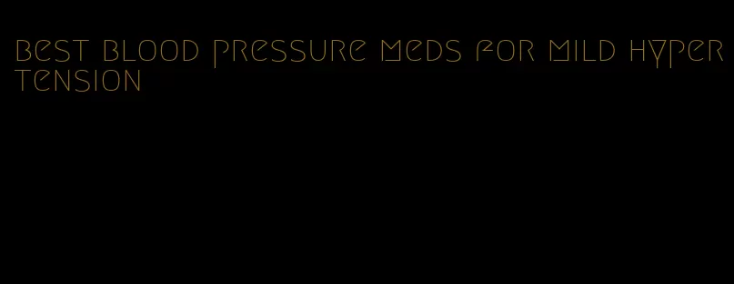 best blood pressure meds for mild hypertension