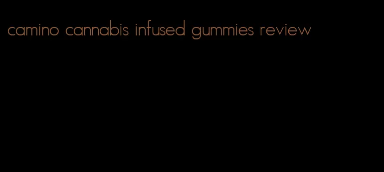 camino cannabis infused gummies review