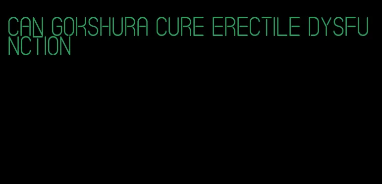 can gokshura cure erectile dysfunction
