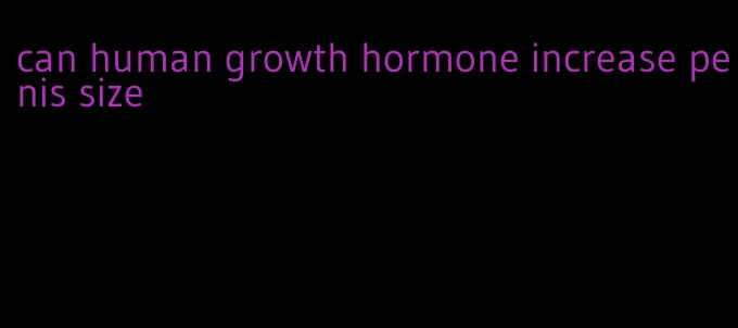 can human growth hormone increase penis size
