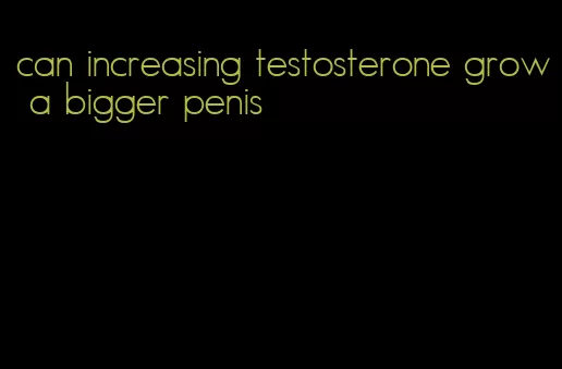 can increasing testosterone grow a bigger penis