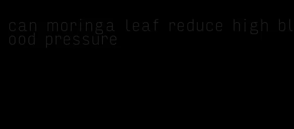 can moringa leaf reduce high blood pressure