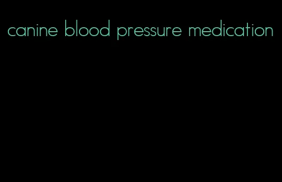 canine blood pressure medication