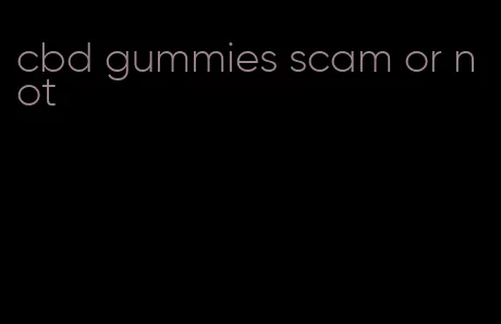 cbd gummies scam or not