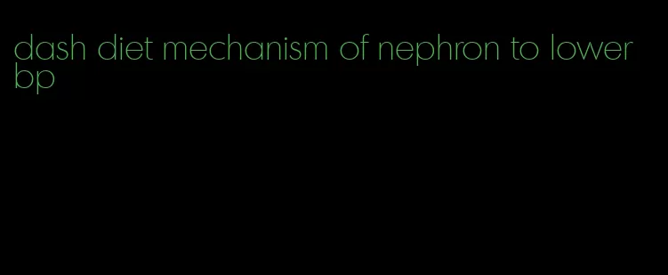 dash diet mechanism of nephron to lower bp