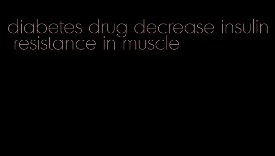 diabetes drug decrease insulin resistance in muscle