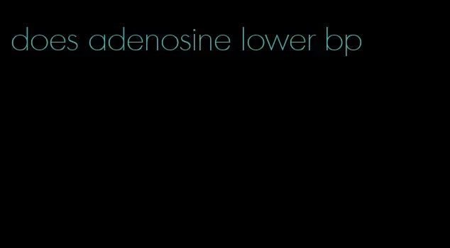 does adenosine lower bp