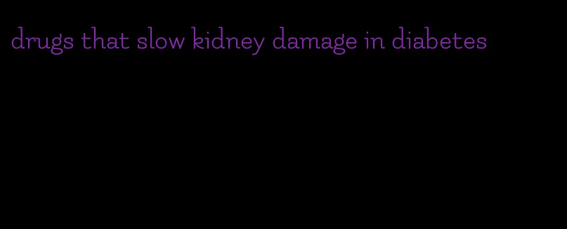 drugs that slow kidney damage in diabetes