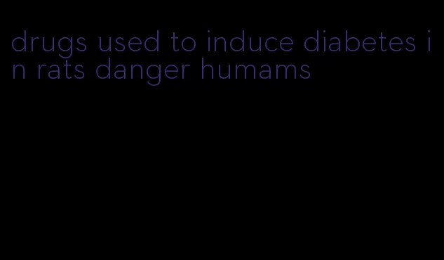 drugs used to induce diabetes in rats danger humams