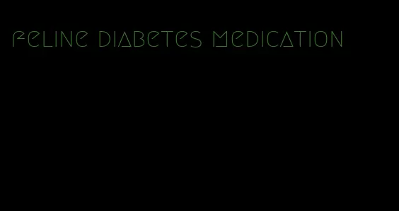 feline diabetes medication