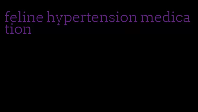 feline hypertension medication