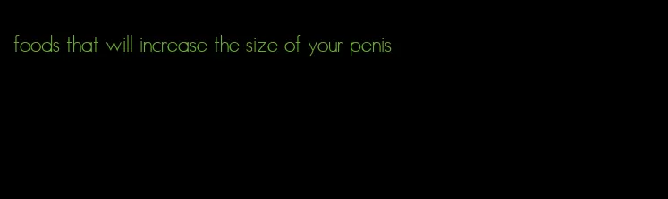 foods that will increase the size of your penis
