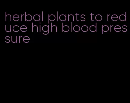 herbal plants to reduce high blood pressure