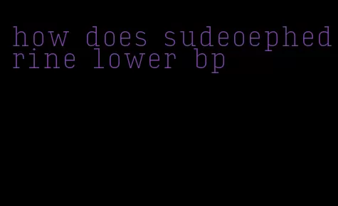 how does sudeoephedrine lower bp