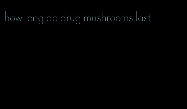 how long do drug mushrooms last