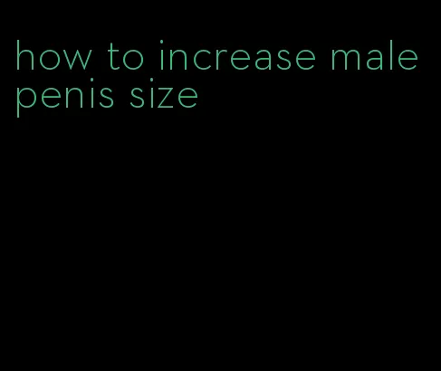 how to increase male penis size