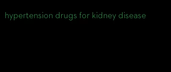 hypertension drugs for kidney disease
