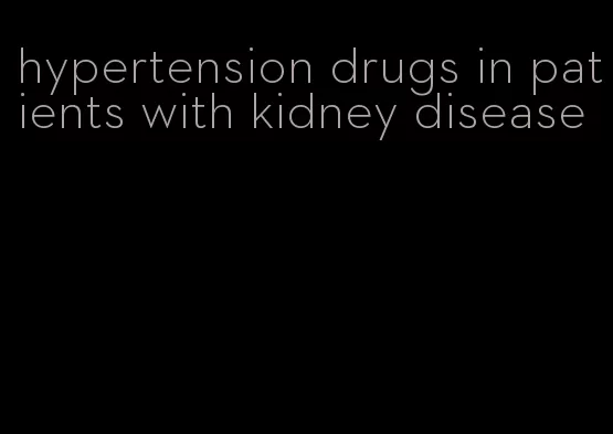 hypertension drugs in patients with kidney disease