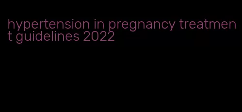 hypertension in pregnancy treatment guidelines 2022