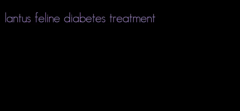 lantus feline diabetes treatment
