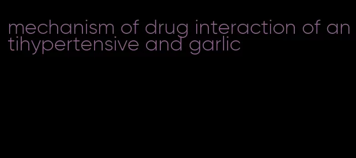 mechanism of drug interaction of antihypertensive and garlic