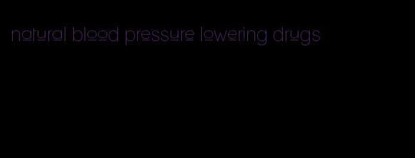 natural blood pressure lowering drugs