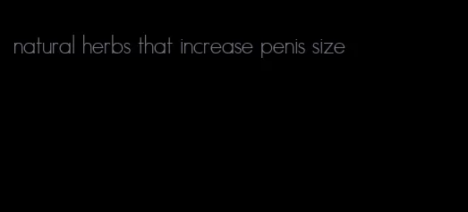 natural herbs that increase penis size