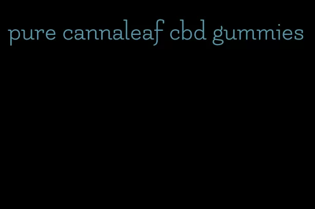 pure cannaleaf cbd gummies