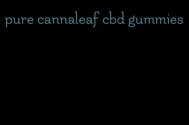 pure cannaleaf cbd gummies