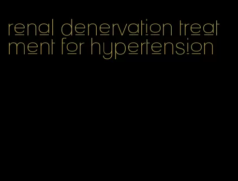 renal denervation treatment for hypertension