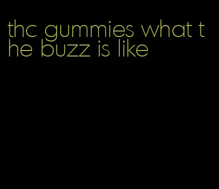 thc gummies what the buzz is like