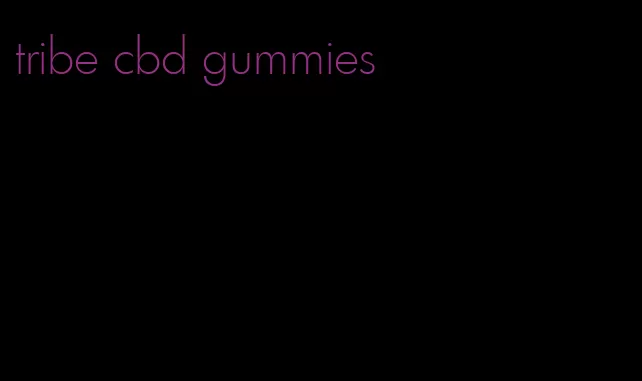 tribe cbd gummies