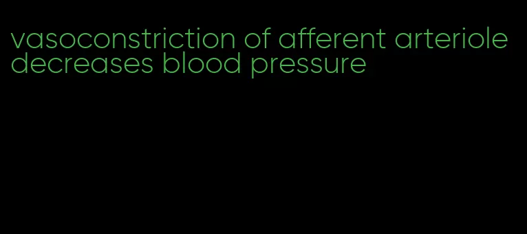 vasoconstriction of afferent arteriole decreases blood pressure
