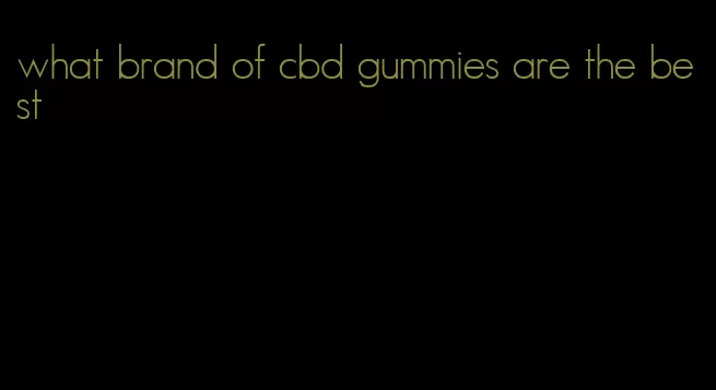 what brand of cbd gummies are the best