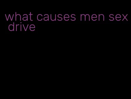 what causes men sex drive