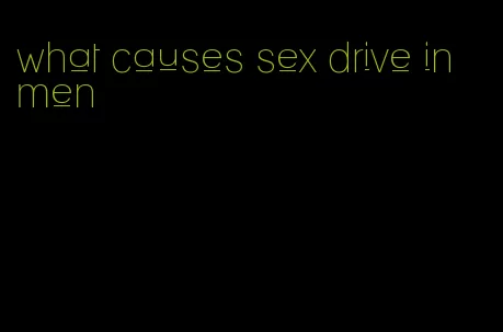 what causes sex drive in men