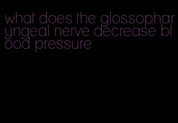 what does the glossopharyngeal nerve decrease blood pressure