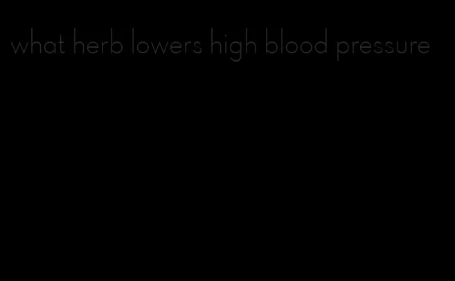 what herb lowers high blood pressure