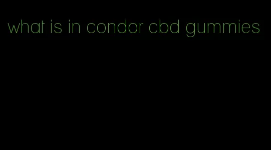 what is in condor cbd gummies