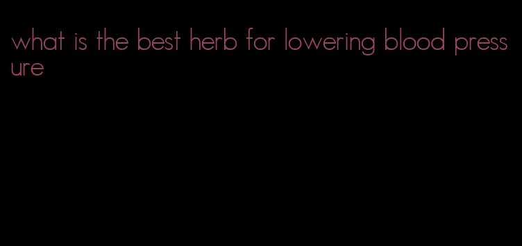 what is the best herb for lowering blood pressure