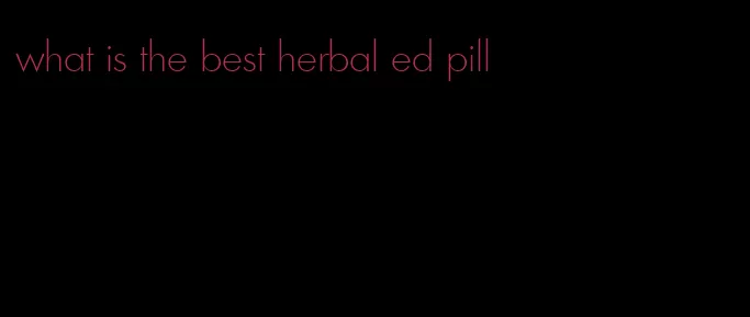 what is the best herbal ed pill