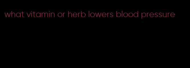 what vitamin or herb lowers blood pressure