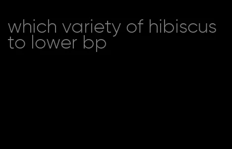 which variety of hibiscus to lower bp