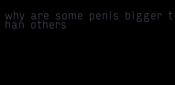 why are some penis bigger than others