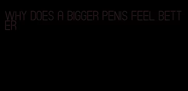 why does a bigger penis feel better