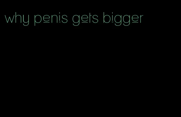 why penis gets bigger