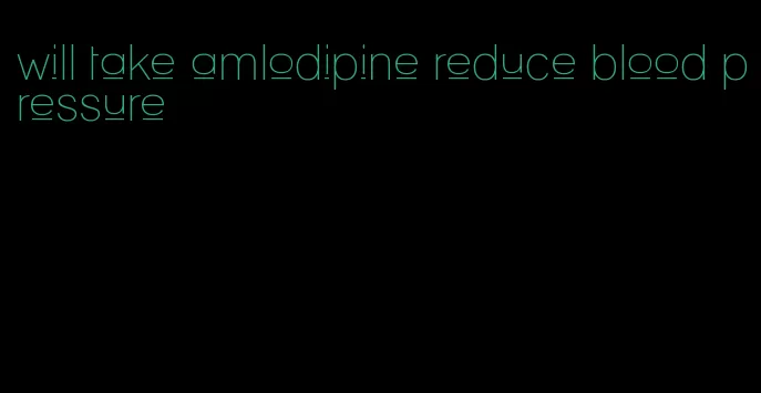 will take amlodipine reduce blood pressure